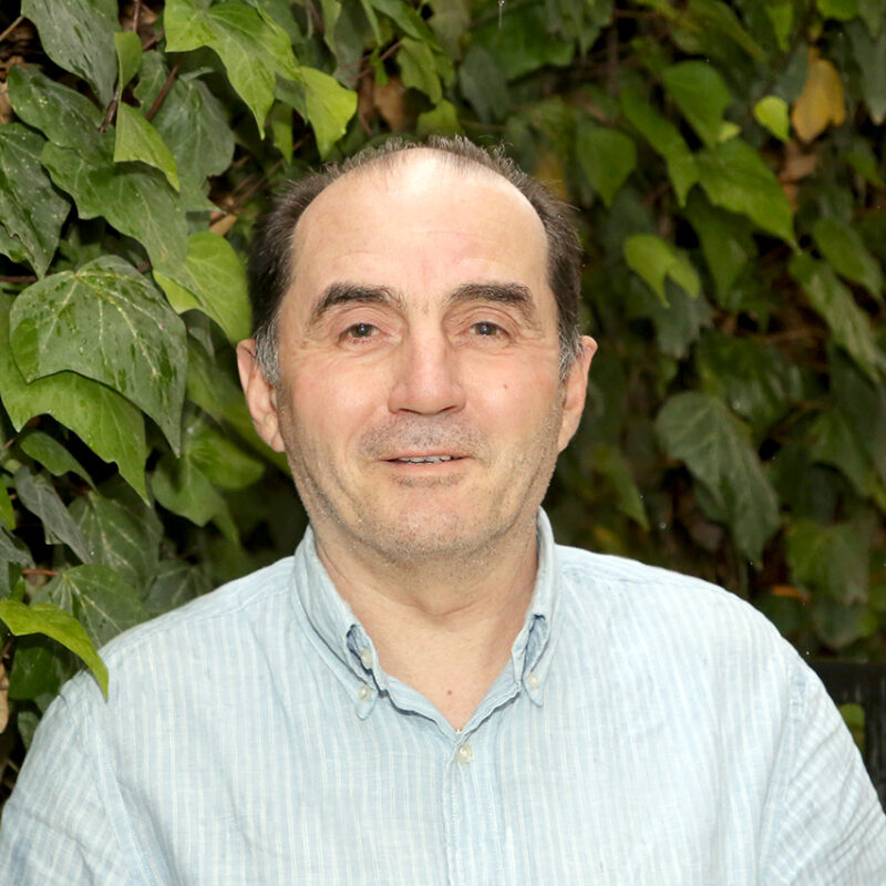 Suad Barbullushi